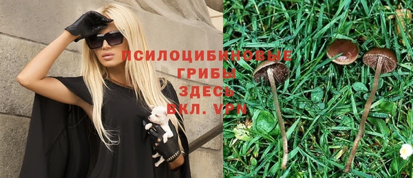 ECSTASY Майский