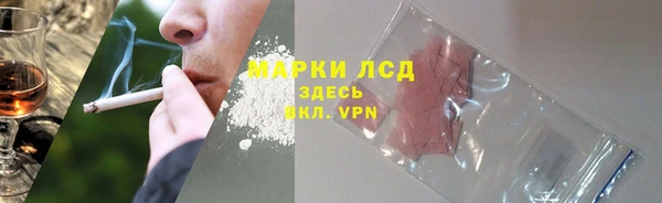 ECSTASY Майский