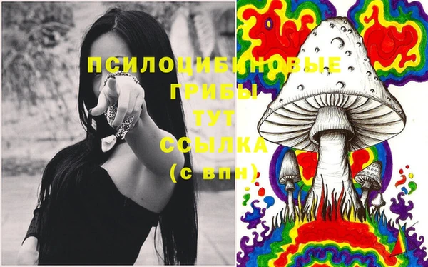 ECSTASY Майский