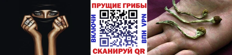 Галлюциногенные грибы MAGIC MUSHROOMS  ссылка на мегу ссылки  Меленки 